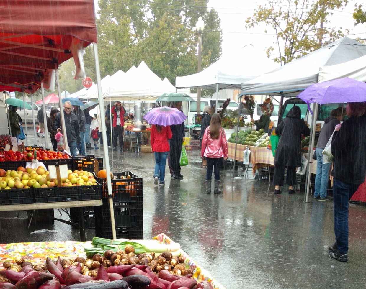 Working in Rain or Shine: M-A Students and Community Share Stories at Farmers Market
