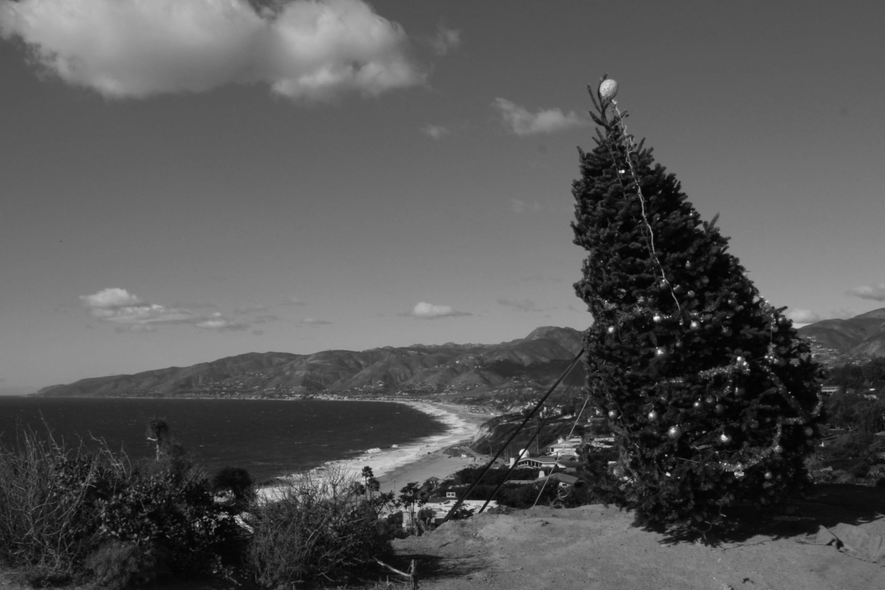 Christmas in Malibu