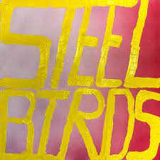 Steel Birds by Slow Pulp