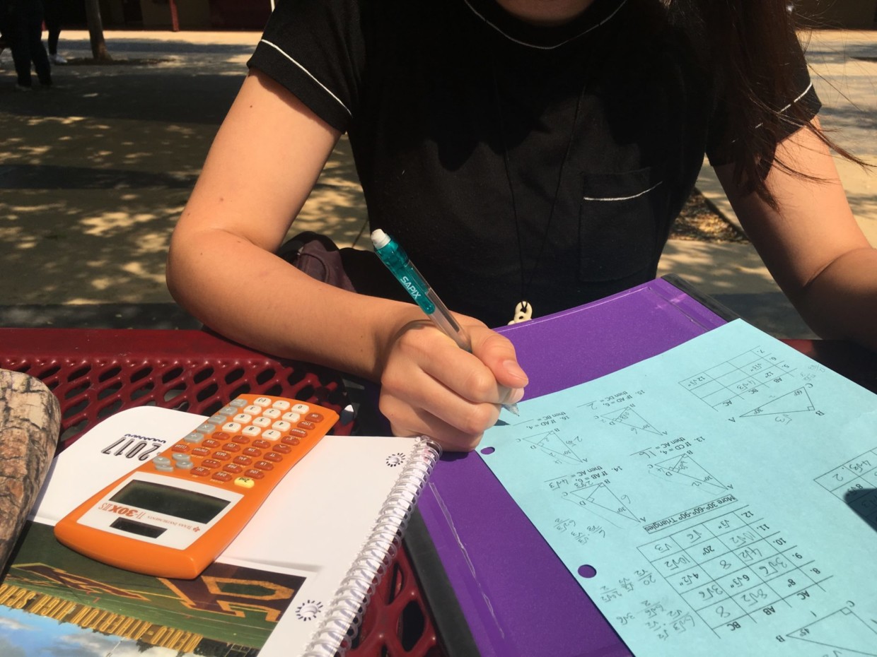 Students Share Experiences with Summer Homework and Procrastination