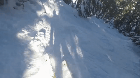 A Day in the Life of a Skier
