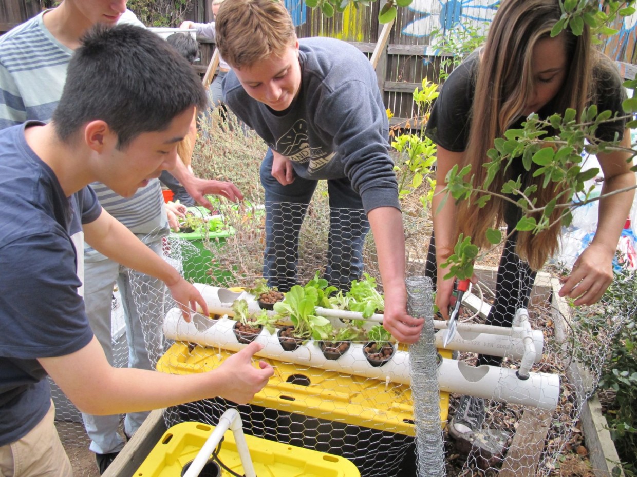 AP Environmental Science Students Create Their Own Sustainable Food