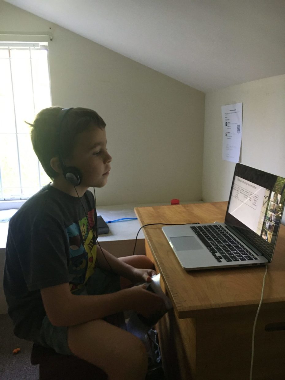 Distance Learning Through the Eyes of Elementary Students