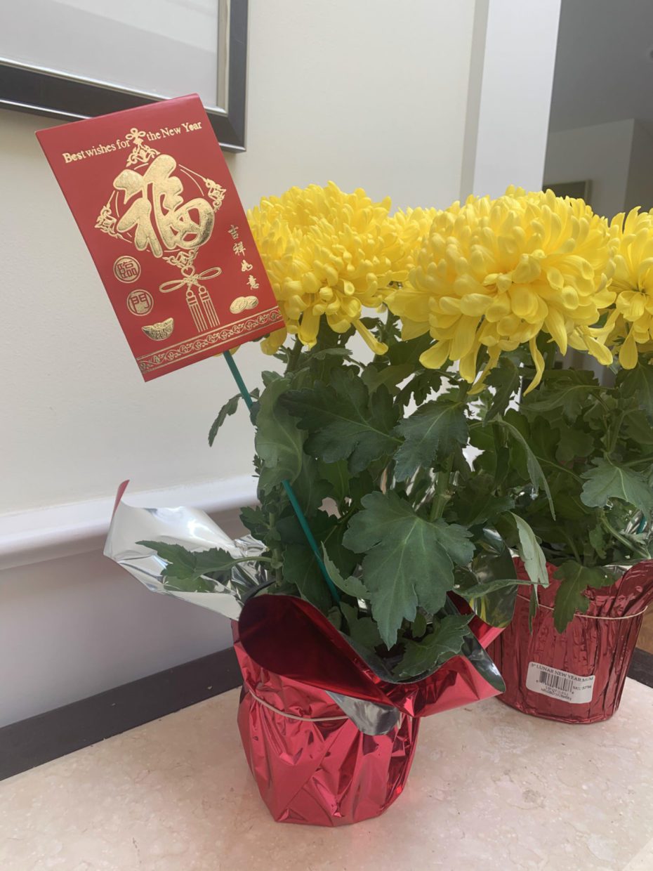 Lunar new year gift ideas in 2021 How to Celebrate the Lunar New Year – M-A Chronicle