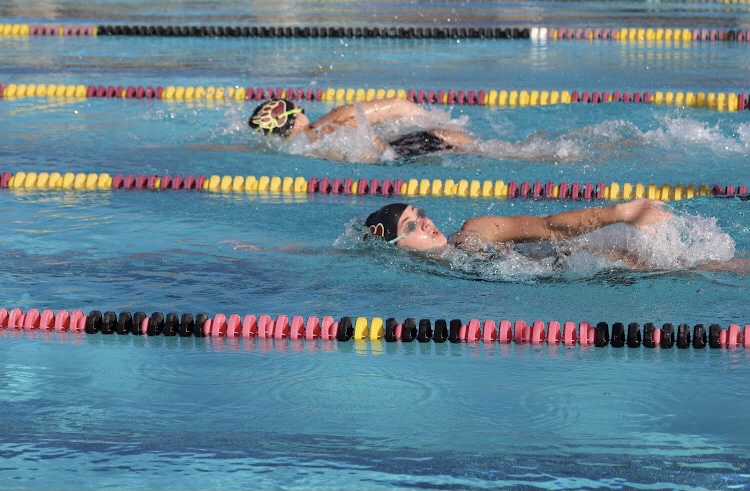 Boys and Girls Swimming Have Mixed Results in Meet against Carlmont