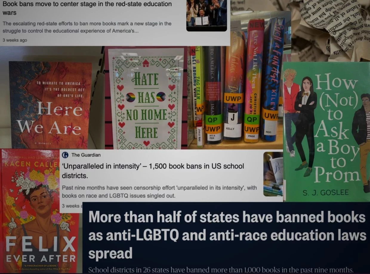 How Does Banning Books Affect M-A?