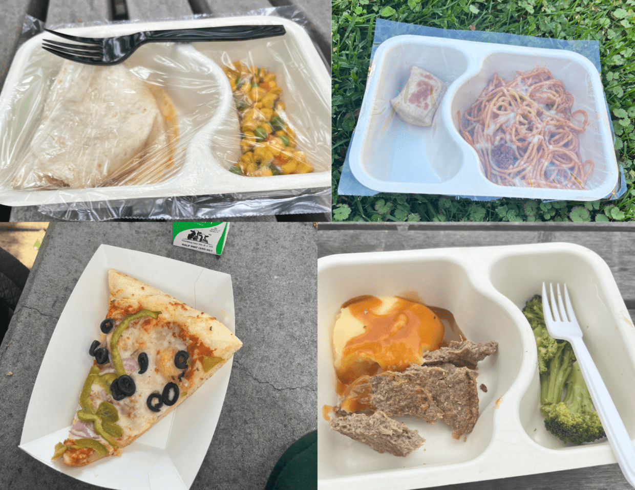 School Lunches: Two Weeks of Food Reviews